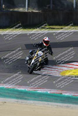 media/Mar-17-2024-Fastrack Riders (Sun) [[c7d6f8c14c]]/Level 2/Turn 6/